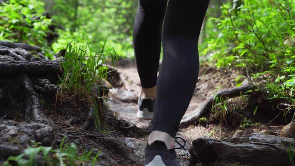 close up of girl walking through the woods on a hiking path in Golden, British Columbia, Canada alt