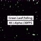 Green Leaf Falling 4K - VideoHive Item for Sale