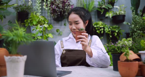 woman sell plant online laptop alt
