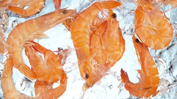 Super Slow Motion Shot of Fresh Shrimps Falling and Splashing Into Water at 1000 Fps alt