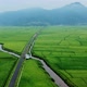 A stretch of rice fields between the mountains and the river - VideoHive Item for Sale