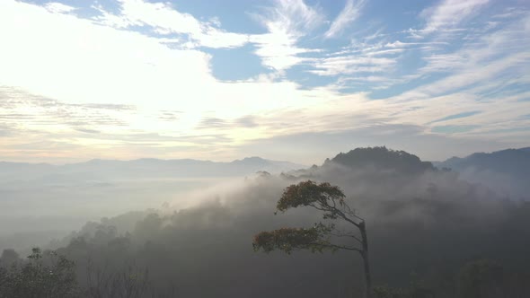 Fog Flowing On The Mountain 1 alt