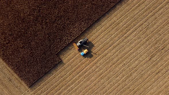 Harvester Pours the Corn After Harvesting Into Field Into Back of Cargo Vehicle alt
