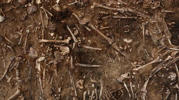 Skulls and Bones of People in the Ground Work of the Search Team at the Site of a Mass Shooting of alt