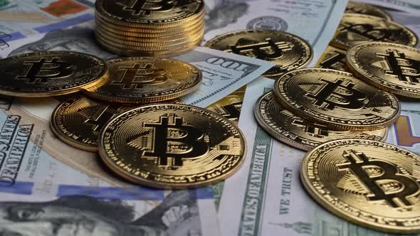 American Dollars and Bitcoins 62 alt