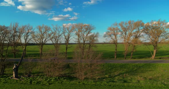 Asphalt Road Through the Countryside at the Evening Aerial View alt