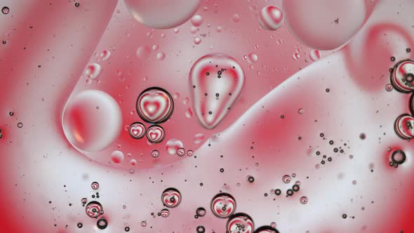 Abstract Valentines Day Hearts Background Oil and Water