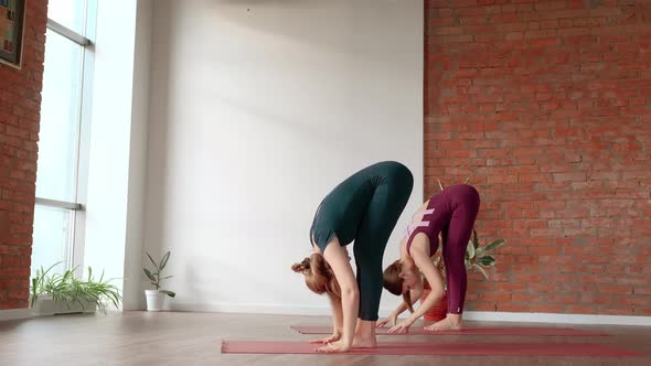 Two Women in Sports Uniforms are Engaged in Yoga in Beautiful Studio alt