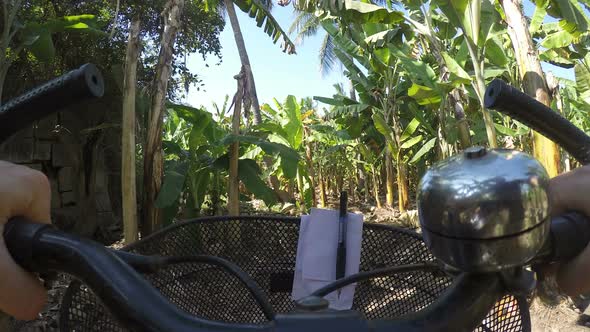 Rural road view during a bicycle ride in Mumbai, timelapse. alt