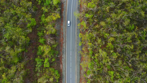 View From a Drone Vertically Down on an Asphalt Road in the Forest at Dawn alt