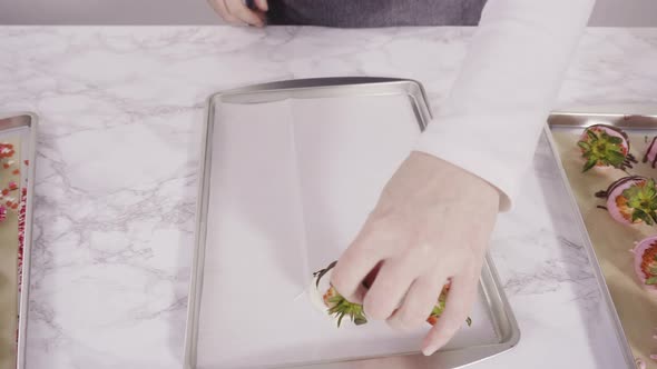 Step by step. Arranging organic strawberries on a baking sheet to make chocolate dipped strawberries alt