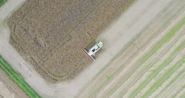 Agriculture Harvester Harvesting Field Aerial View alt