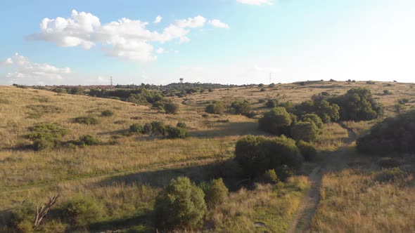 Aerial Fly Over Mirror Like Pond in Summer with green field alt