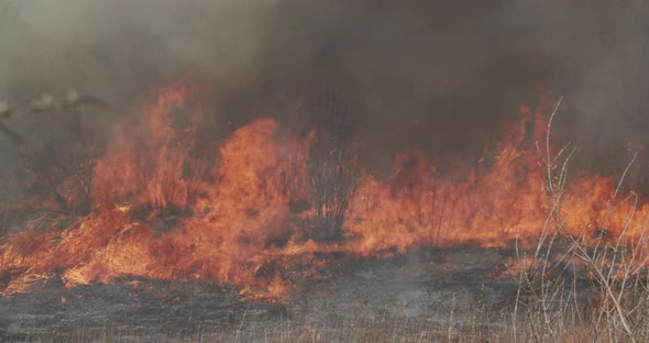 A Large Black Smoke Fire Destroys A Field Of Grass And Trees  alt