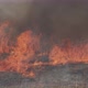 A Large Black Smoke Fire Destroys A Field Of Grass And Trees  - VideoHive Item for Sale