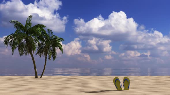 Tourist animation beach, palm tree and slippers on  the sea.