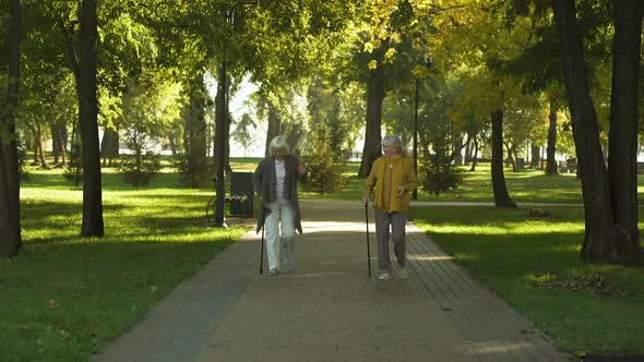 Two Happy Senior Women Walking in Park, Nursing Home for Elderly People, Leisure alt