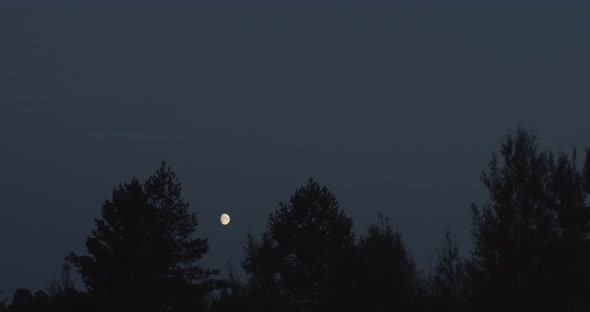 Little Moon Moves Across The Night Sky Over The Trees Time-lapse Motion. Moon Slowly Floating Across