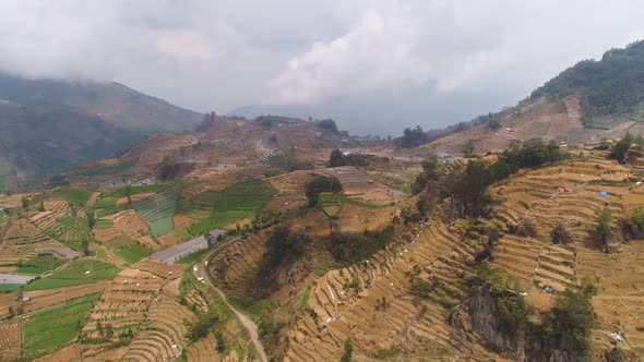 Tropical Landscape with Farmlands in Mountains alt