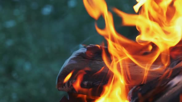 Wooden Planks to the Fire.  alt