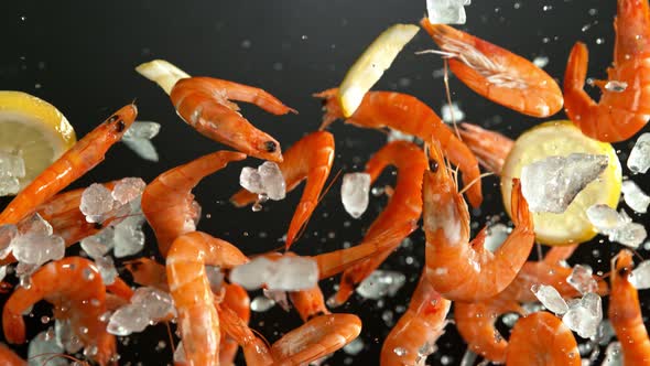 Super Slow Motion Shot of Flying Fresh Prawns with Crushed Ice and Lemon Slices at 1000 Fps alt