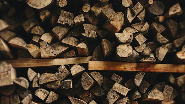 Village Warehouse With Firewood. Harvesting Wood Fuel For Winter