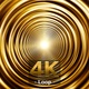 Gold Concentric Helix Wave Tunnel - VideoHive Item for Sale