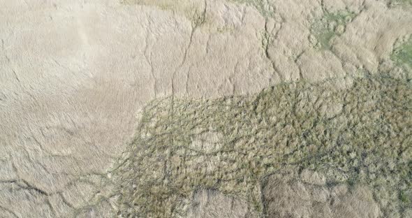 Aerial view of nature reserve Roggebotveld in the polder Flevoland, Netherlands alt