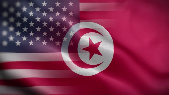 USA Tunisia Flag Loop Background 4K