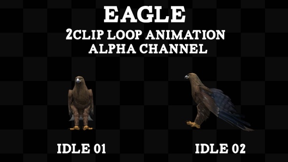 Eagle 2 Clip Loop