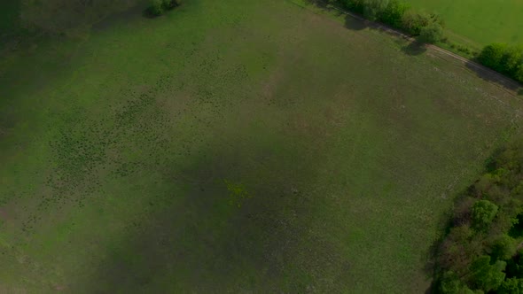 Top Down View of the Green Field at Spring Sunny Day Shoot By Drone alt