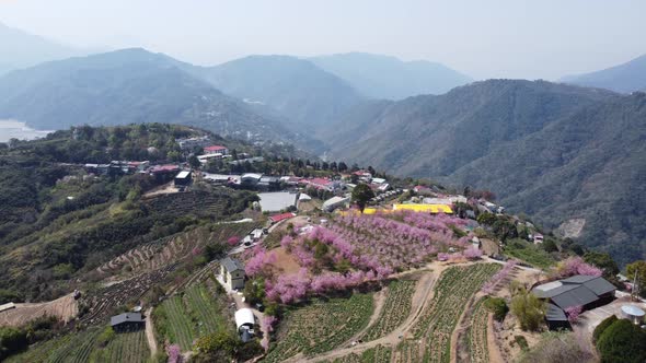 The Aerial view of Nantou alt
