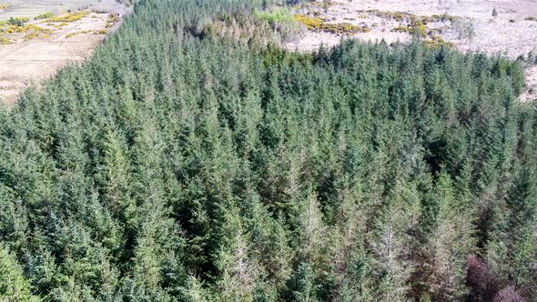 Aerial of Forest in a Peatbog By Clooney Portnoo  County Donegal Ireland alt