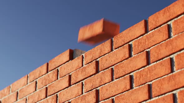 The clay brick wall being build at clear blue sky background. Loopable alt