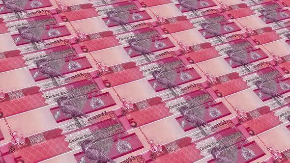 Gambia  Money / 5 Gambian Dalasi 4K alt