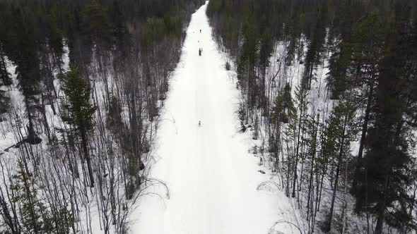 Drone Aerial View of Dogsledding Handler with Team of Trained Husky Dogs Mountain Pass Husky Dog alt