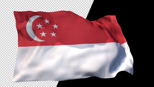 Flag Of Singapore