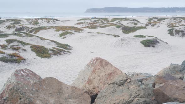 Sand Dunes of Misty Coronado Beach Ocean Waves in Fog California Coast USA