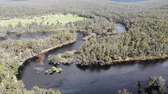 Aerial View of a River Forest