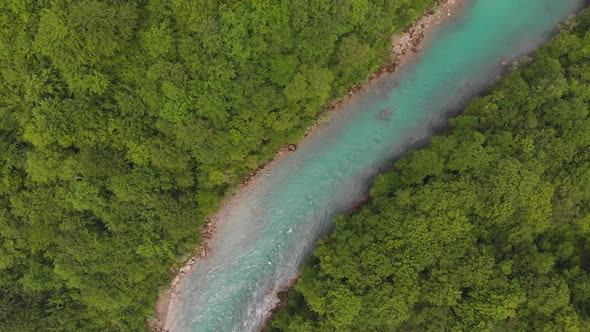 Turquoise Water and Emerald Forest