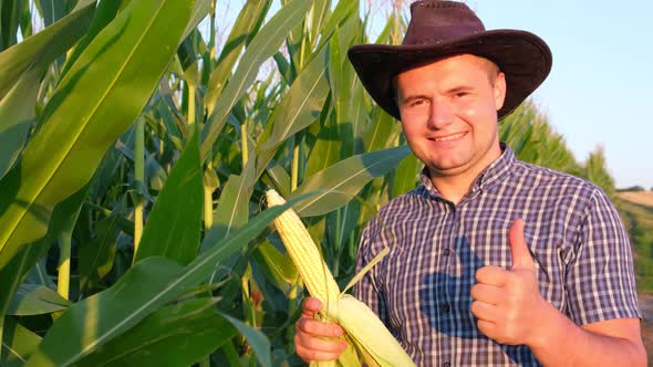 Agronomist in a Corn Field Studies the Harvest at Sunset alt