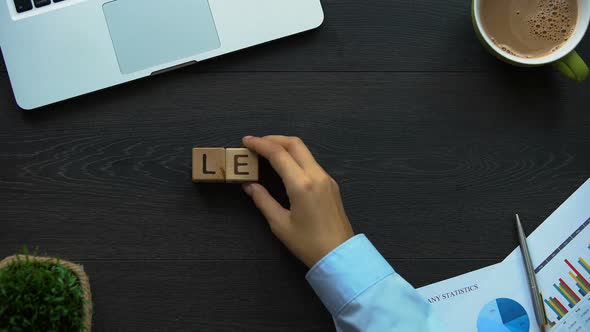 Leader, Business Woman Making Word of Cubes, Authoritative Head of Company alt