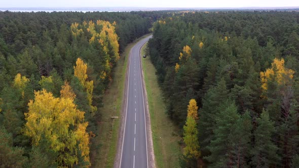 Aerial view of countryside road passing through the autumn forest.