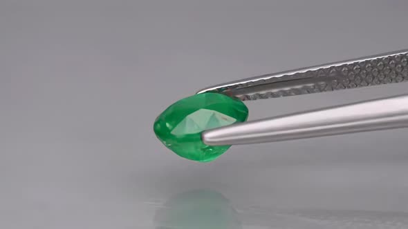 Natural Green Garnet Oval Cut Tsavorite Mineral Gemstone in the Tweezers