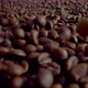 Closeup Coffee Beans Falling Down on Large Heap with Camera Going Forward - VideoHive Item for Sale