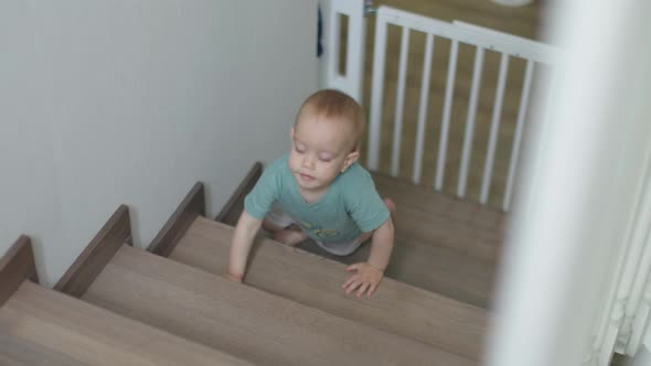 Baby Toddler Boy Climbing Crawling Upstairs Home Indoors Learning Climb Stairs alt