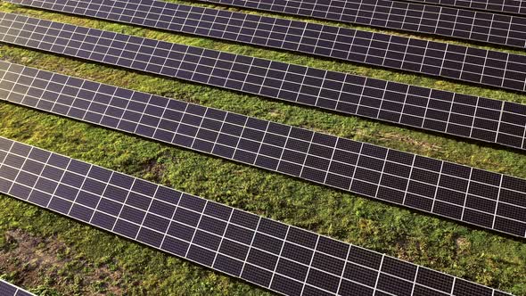 Close up solar power station panels in a row in the fields green energy at sunset alt