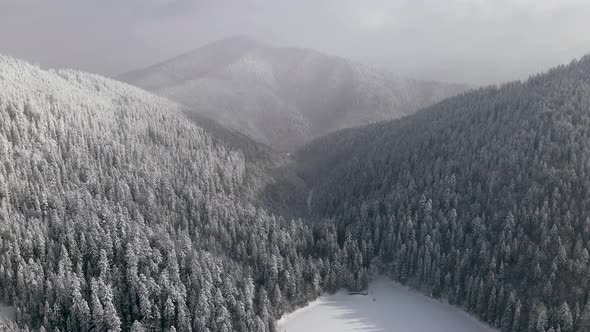 Aerial View of a Frozen Forest with Snow Covered Lake at Winter in Carpathian Mountains