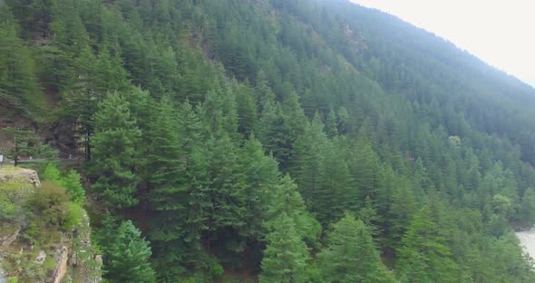 Aerial View of Forest Near Ganges in Himalaya