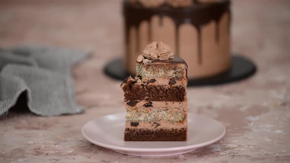Piece of Chocolate Cake with Poppy Seed Layers and Prunes